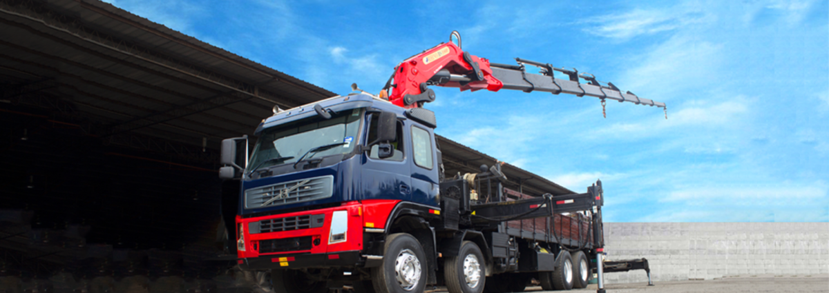 Rhino Truck Mounted Cranes